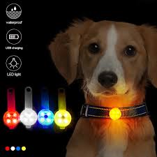 LED Safety Collar Light