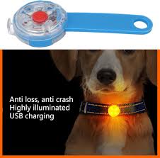 LED Safety Collar Light