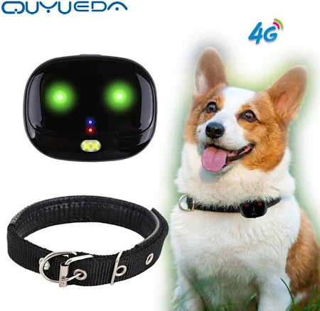 4G GPS Pet Tracker Collar- Waterproof w/ LED Lights