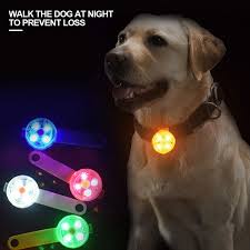 LED Safety Collar Light